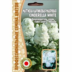 Маттиола Cinderella White карликовая махровая (Редкие) ― Все в сад