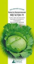 Капуста бк Мегатон F1, 10сем (цв.) Бейо ― Все в сад