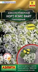 Алиссум Норт фэйс вайт каскадный (Аэлита) ― Все в сад