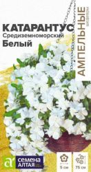 Катарантус Средиземноморский Белый ампельный (Алтай) ― Все в сад