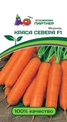Морковь Краса Севера F1 (Партнер)