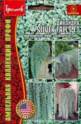 Дихондра Серебрянный водопад - Silver Falls F1 (Редкие) ― Все в сад